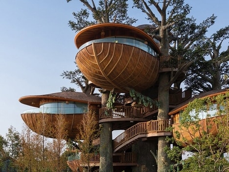 Prefab Timber Pods