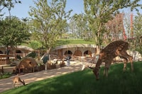 Eco-Farm Landscape Designs Image 4