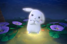 Cartoon Design Debuts