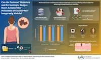 Melanoma-Identifying AI Systems Image 1