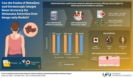 Melanoma-Identifying AI Systems