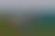 Minimalist Contemporary Dwellings