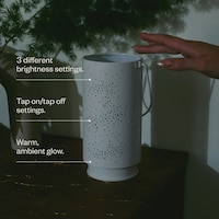 Multi-Use Wellness Lineups Image 2