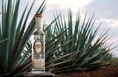 Artisanal Tequila Debuts