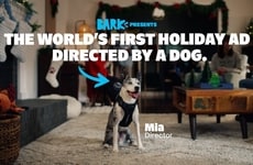 Dog-Directed Commercials