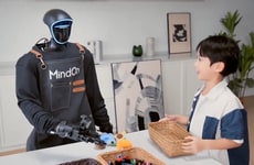 Humanoid Chore Robots