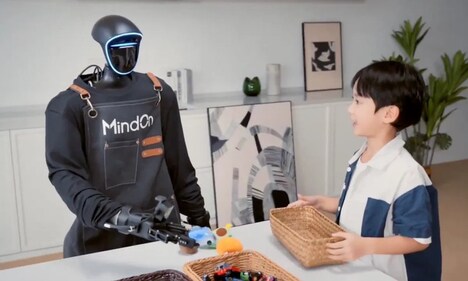 Humanoid Chore Robots