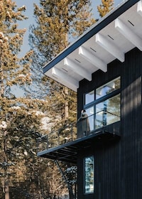 Elevated Forest Cabins Image 3
