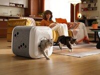 Smart Cat Shelters
