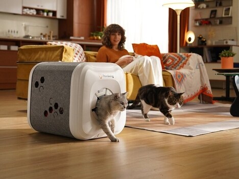 Smart Cat Shelters