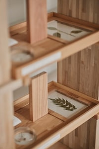 Time-Layered Wood Displays Image 2