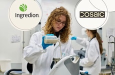 Creamy Plant-Based Food Ingredients