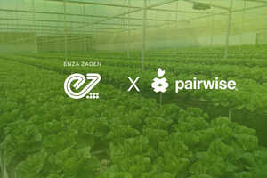 Vegetable Breeding Partnerships Article Thubnail