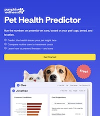 AI-Powered Pet Care Tools