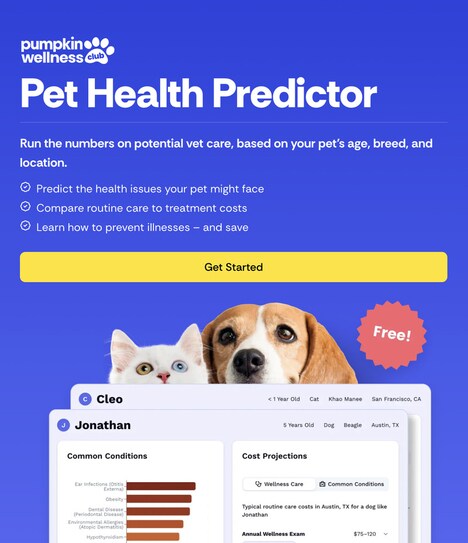 AI-Powered Pet Care Tools