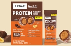 Energizing Protein-Rich Snack Bites