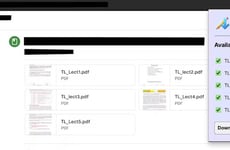 Bulk File Downloaders