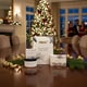 Fir-Inspired Holiday Gift Sets Image 1