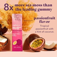 Sea Moss-Powered Drink Mixes Image 2