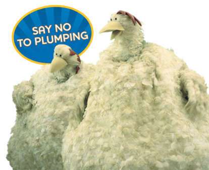 47 Chickenovations