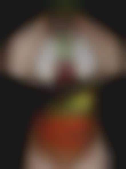 Vegetable Vitality Ads