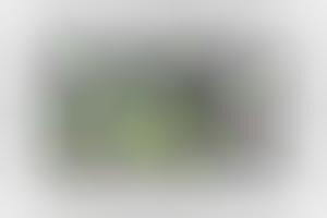 Golf-Improving Cameras