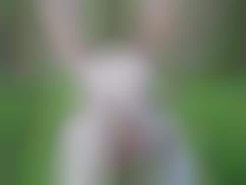 Petri Private Parts