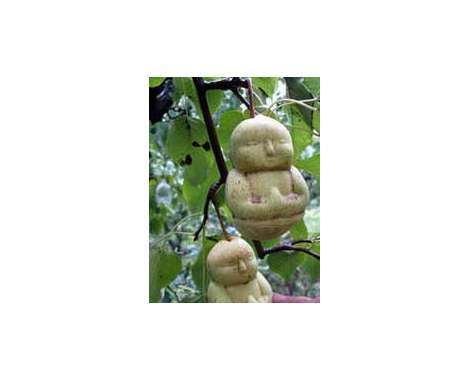 19 Buddhist Innovations