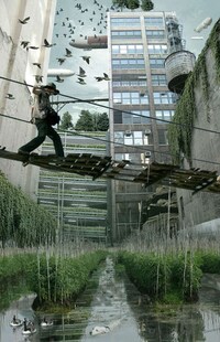 Urban Floodtography Image 5