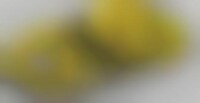 Sneaky Broken Wheels Image 1