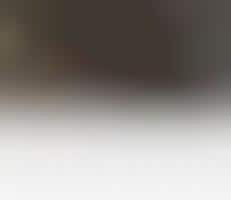 Twilight-Spoofing Videos