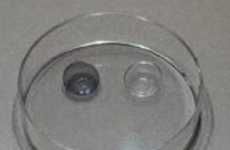 Sunglass Contact Lenses