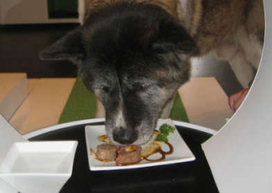 Sushi Bars for Pets