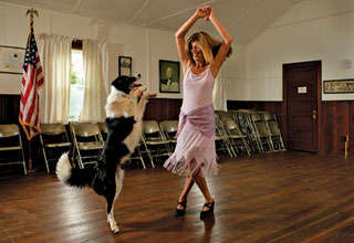 Doggie Dance-Offs