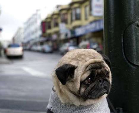26 Melancholy Innovations