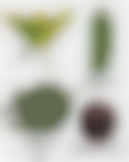Sci-Fi Foliage