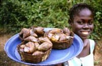 Life Saving Snail Pies Image 5