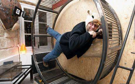 Hamster Hotels
