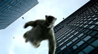 Polar Bear Shockvertising Image 2