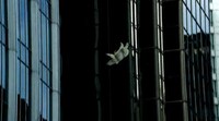 Polar Bear Shockvertising Image 4