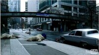 Polar Bear Shockvertising Image 5