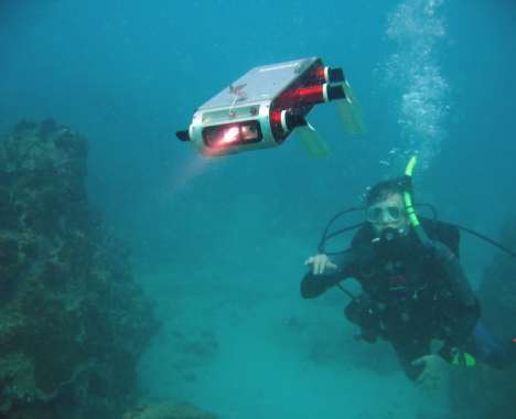 23 Amphibious Finds