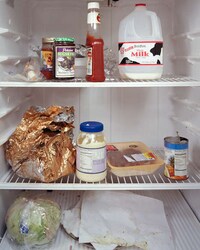 Fridgetography Image 4