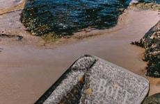 Tactical Camp Chairs