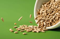 Sunflower-Sourced Protein Products