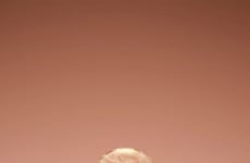 Warm Spice-Scented Fragrances