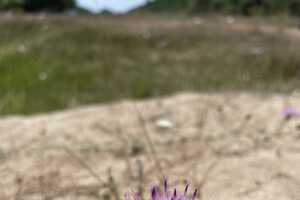 Sustainable Governance Initiatives Article Thubnail