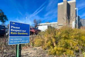 Company-Backed Wetland Restoration Projects Article Thubnail