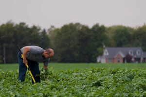 Supportive Regenerative Agriculture Initiatives Article Thubnail