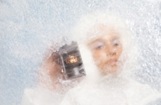 Frozen Mango Fragrances